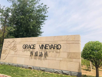 Grace Vineyard